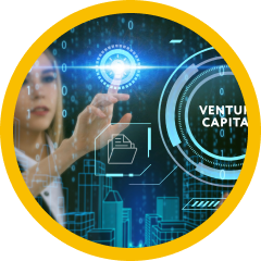 Corporate Venture Capital