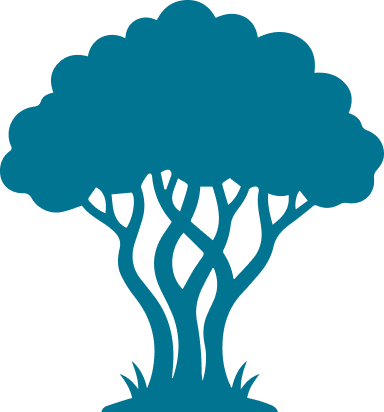 Colonizadores
			naturales